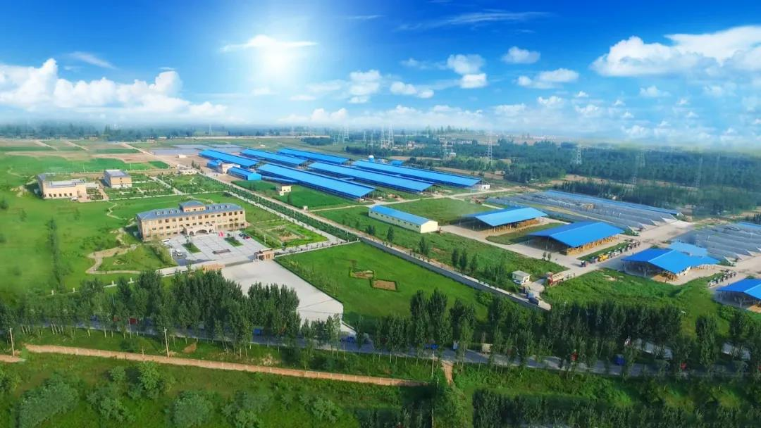 花花牛丨河南農(nóng)業(yè)大學(xué)黨委副書(shū)記、校長(zhǎng)介曉磊一行蒞臨花花牛河南瑞亞參觀調(diào)研