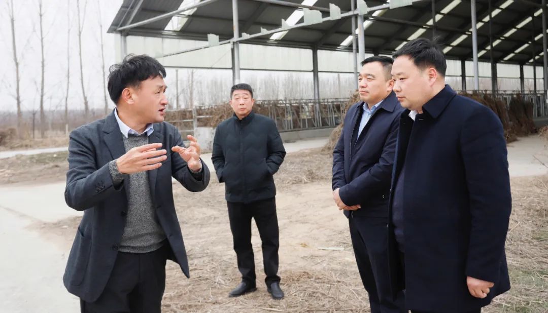發(fā)揮產(chǎn)業(yè)優(yōu)勢(shì) 助力鄉(xiāng)村振興 | 民權(quán)縣委副書(shū)記、縣長(zhǎng)王靜嫻會(huì)見(jiàn)關(guān)曉彥董事長(zhǎng)一行