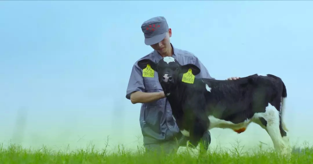 河南省人大常委會(huì)黨組書記、副主任孔昌生蒞臨花花牛魯山瑞亞牧場(chǎng)參觀調(diào)研