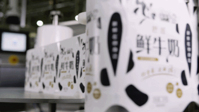 快訊 | 長(zhǎng)江商學(xué)院智能制造學(xué)會(huì)走進(jìn)花花牛乳業(yè)集團(tuán)