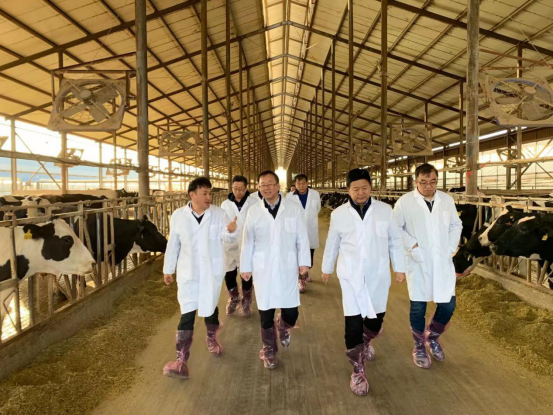 寧夏回族自治區(qū)農(nóng)業(yè)農(nóng)村廳黨組書記、廳長王剛一行蒞臨花花牛乳業(yè)集團(tuán)調(diào)研