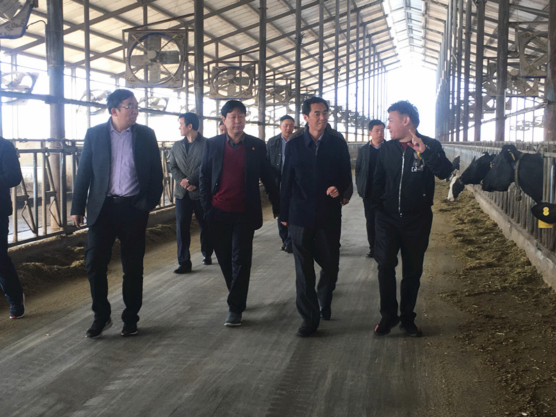 封丘縣縣長王獻(xiàn)臣一行蒞臨 花花牛集團(tuán)養(yǎng)殖、乳品事業(yè)部參觀調(diào)研
