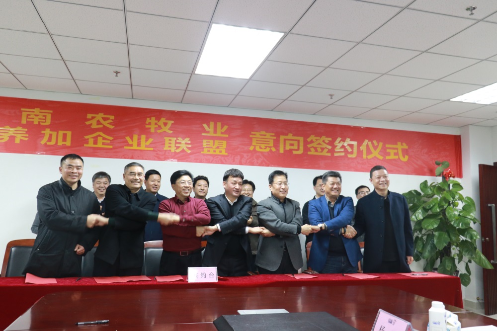 涉農(nóng)企業(yè)強強聯(lián)合，“抱團取暖”共迎企業(yè)發(fā)展的春天