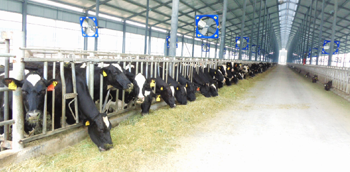 1735283733899605.jpg 814e126b391d1a5aa1a9ab8bb5a31454_CgAGS1jLhz-AaXvkAAMdpoiKk2c646.jpg