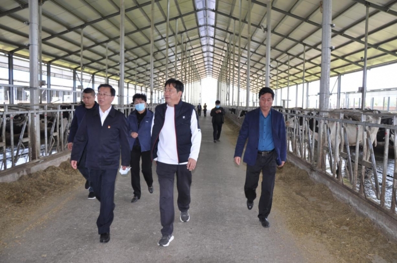 商丘市委常委、宣傳部部長王全周一行蒞臨睢縣瑞亞牧業(yè)有限公司調研